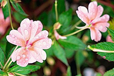 科隆：科幻冒险游戏《火星孤征》新预告片